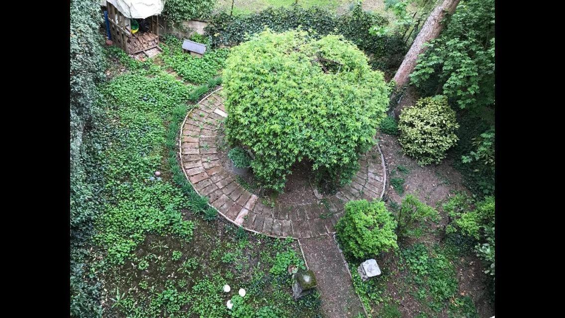 Casa Luminosa Con Giardino In Centro Storico Lägenhet Reggio Emilia Exteriör bild